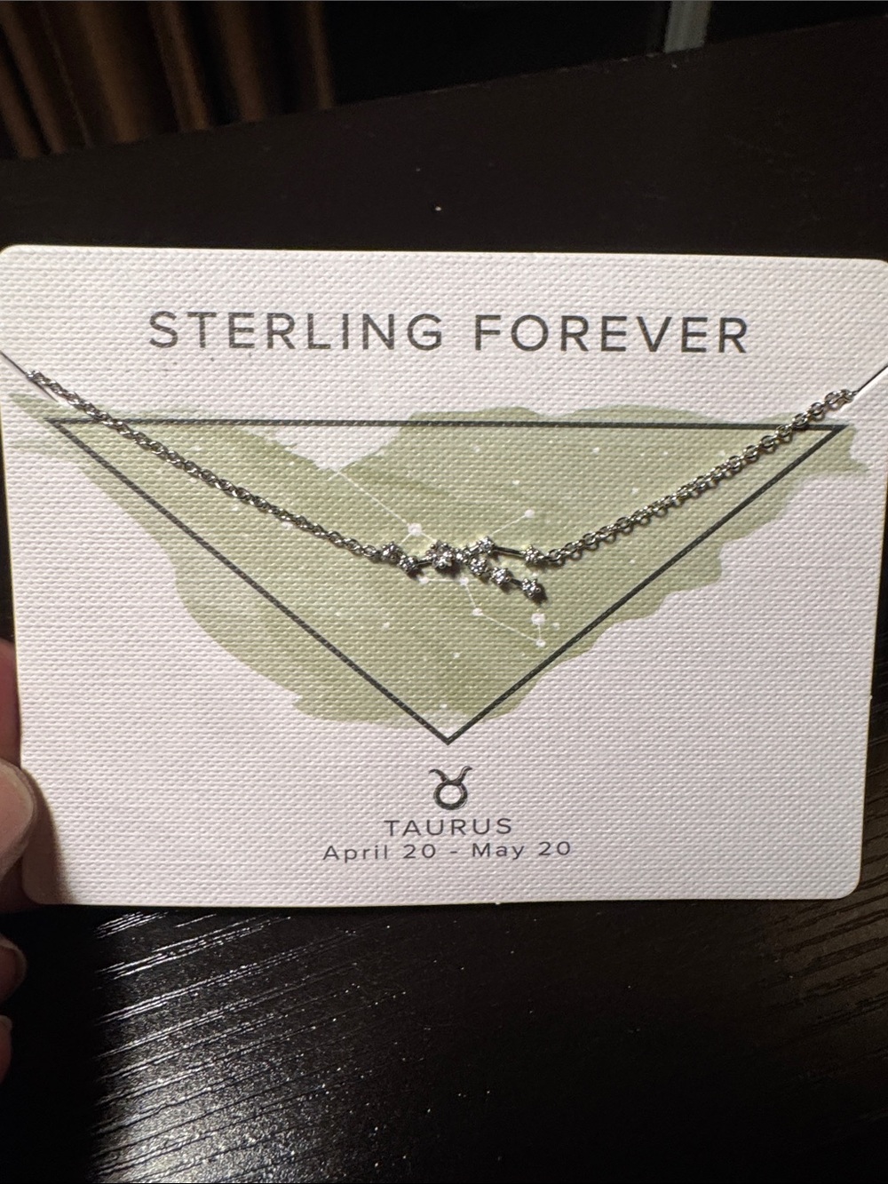 Sterling Forever Taurus Sterling Silver Necklace in Silver